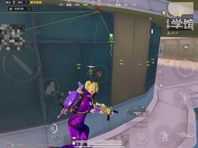 手机和平精英辅助透视